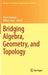 Bridging Algebra, Geometry, and Topology by Denis Ibadula