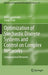 Optimization of Stochastic Discrete Systems and Control on Complex Networks: Computational Networks by Dmitrii Lozovanu