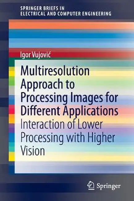 Multiresolution Approach to Processing Images for Different Applications: Interaction of Lower Processing with Higher Vision by Igor Vujovic