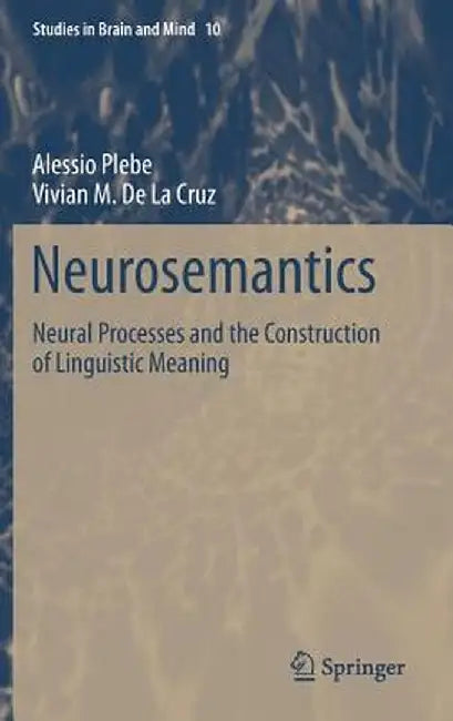 Neurosemantics: Neural Processes and the Construction of Linguistic Meaning by Alessio Plebe