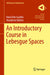 An Introductory Course In Lebesgue Spaces by Castillo, Rene Erlin
