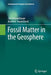 Fossil Matter in the Geosphere by Jan Schwarzbauer