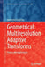 Geometrical Multiresolution Adaptive Transforms: Theory and Applications by Agnieszka Lisowska