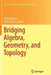 Bridging Algebra, Geometry, and Topology by Denis Ibadula
