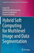 Hybrid Soft Computing for Multilevel Image and Data Segmentation by Sourav de