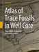 Atlas of Trace Fossils in Well Core: Appearance, Taxonomy and Interpretation by Dirk Knaust
