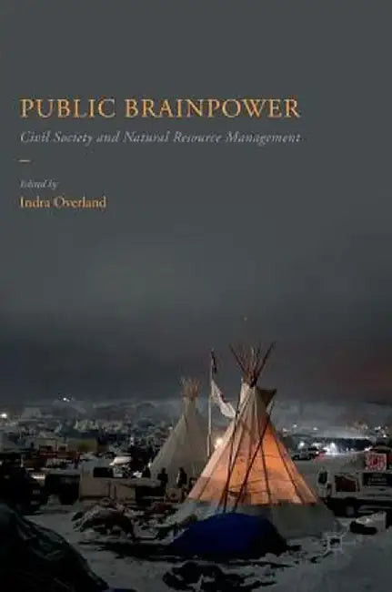 Public Brainpower: Civil Society and Natural Resource Management by Indra Overland