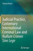 Judicial Practice, Customary International Criminal Law and Nullum Crimen Sine Lege by Thomas Rauter