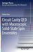 Circuit Cavity Qed with Macroscopic Solid-State Spin Ensembles by Stefan Putz