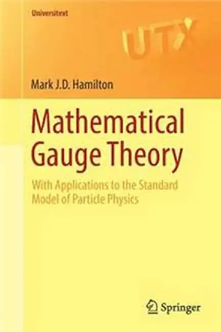 Mathematical Gauge Theory:With Applications to the Standard Model of Particle Physics: Universitext by Mark J.D. Hamilton