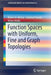 Function Spaces with Uniform, Fine and Graph Topologies by Robert A. McCoy