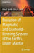 Evolution of Magmatic and Diamond-Forming Systems of the Earth's Lower Mantle by Spivak, Anna V