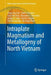 Intraplate Magmatism and Metallogeny of North Vietnam by Hoa Trong Tran