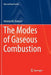 The Modes of Gaseous Combustion by Nickolai M. Rubtsov