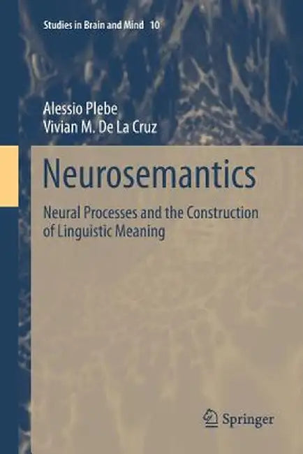 Neurosemantics: Neural Processes and the Construction of Linguistic Meaning by Alessio Plebe