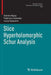 Slice Hyperholomorphic Schur Analysis by Daniel Alpay
