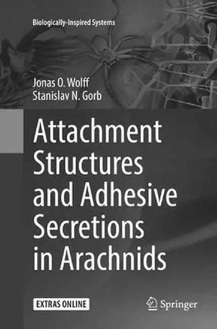 Attachment Structures and Adhesive Secretions in Arachnids by Jonas O. Wolff