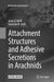 Attachment Structures and Adhesive Secretions in Arachnids by Jonas O. Wolff