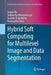 Hybrid Soft Computing for Multilevel Image and Data Segmentation by Sourav de