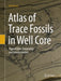 Atlas of Trace Fossils in Well Core: Appearance, Taxonomy and Interpretation by Dirk Knaust