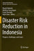 Disaster Risk Reduction in Indonesia: Progress, Challenges, and Issues by Riyanti Djalante