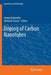 Doping of Carbon Nanotubes by Sergey Bulyarskiy