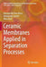 Ceramic Membranes Applied in Separation Processes by Dionisio Da Silva Biron