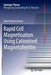 Rapid Cell Magnetisation Using Cationised Magnetoferritin by Sara Correia Carreira