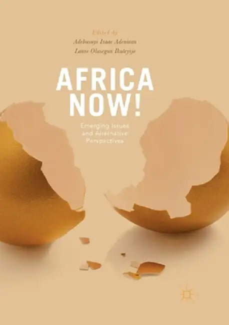 Africa Now!: Emerging Issues and Alternative Perspectives by Adebusuyi Adeniran