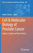 Cell & Molecular Biology of Prostate Cancer: Updates, Insights and New Frontiers by Heide Schatten