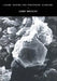 Lineare Algebra Und Analytische Geometrie I: Noten Zu Einer Vorlesung Mit Historischen Anmerkungen Von Erhard Scholz by Egbert Brieskorn