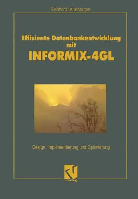 Effiziente Datenbankentwicklung Mit Informix-4GL: Design, Implementierung Und Optimierung by Reinhard Lebensorger