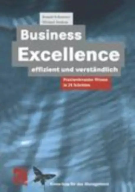 Business Excellence Effizient Und Verständlich: Praxisrelevantes Wissen in 24 Schritten by Ronald Schnetzer, Michael Soukup