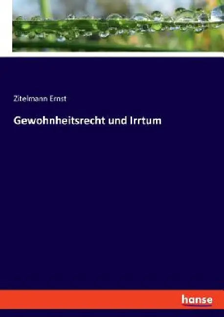 Gewohnheitsrecht und Irrtum by Ernst, Zitelmann
