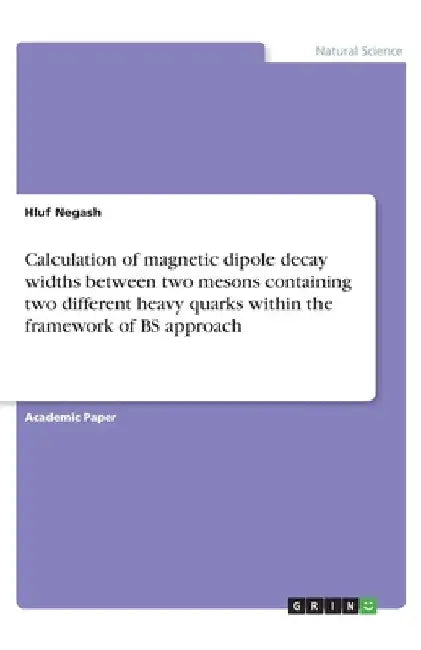 Calculation of magnetic dipole decay widths between two mesons containing two different heavy quarks within the framework of BS approach by Hluf Negash