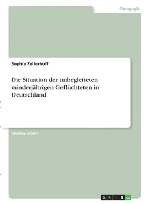 Die Situation der unbegleiteten minderjährigen Geflüchteten in Deutschland by Zellerhoff, Sophia