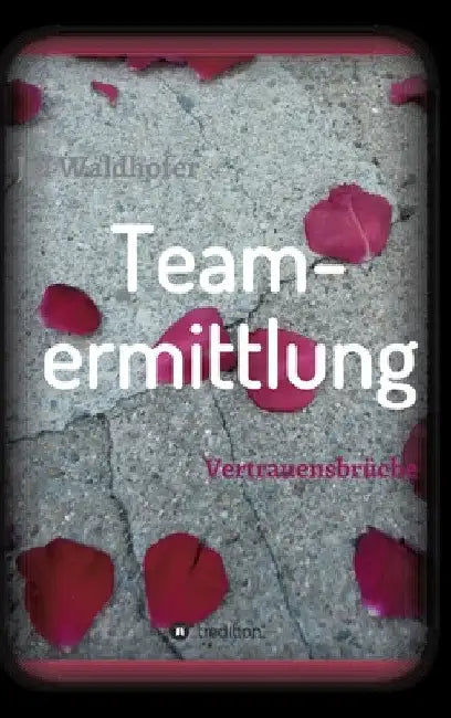 Teamermittlung: Vertrauensbrüche by Jill Waldhofer