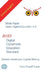 Digital Cybernetic Education Standard: Globaler Masterplan digitale Bildung by Franz Rudolf Czaak