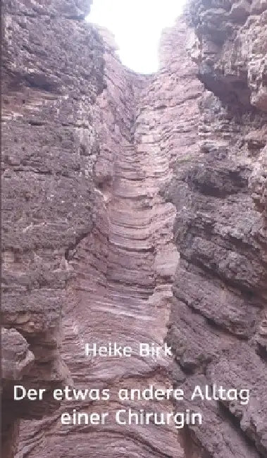 Der etwas andere Alltag einer Chirurgin by Heike Birk