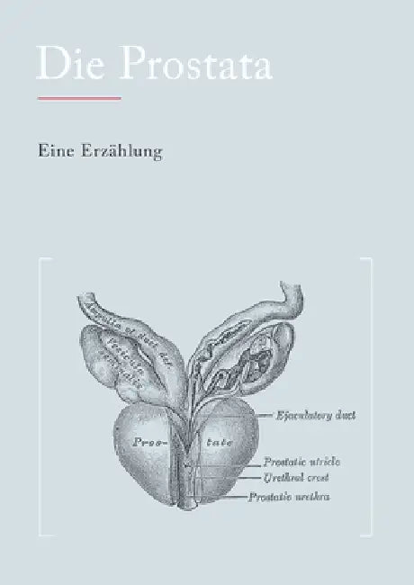 Die Prostata: Eine Erzählung by N. N