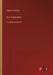 Eine Evatochter: in Großdruckschrift by Balzac, Honoré de