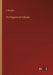 The Hygiene of Schools by J. Budgett