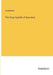 The Encyclopedia of Insurance by Anonymous