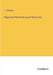 Report on Petroleum as an Illuminator by C. Chandler