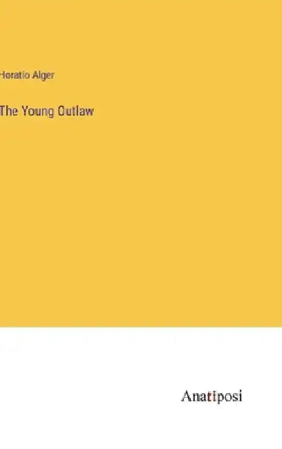 The Young Outlaw by Horatio Alger