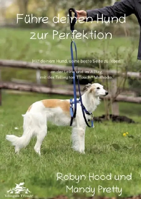 Führe deinen Hund zur Perfektion: Hilf deinem Hund, seine beste Seite zu leben - an der Leine und im Alltag, mit der Tellington TTouch(R) Methode by Robyn Hood