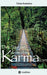Der Tag an dem das Karma kam: "Der Tag an dem das Karma kam" ist ein packender Reisebericht mit teils haarsträubenden Geschichten aus über 20 Jahren by Tobias Rauterkus