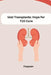 Islet Transplants: Hope for T1D Cure by Furguson