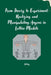 From Theory to Experiment: Realizing and Manipulating Anyons in Lattice Models by Ashley