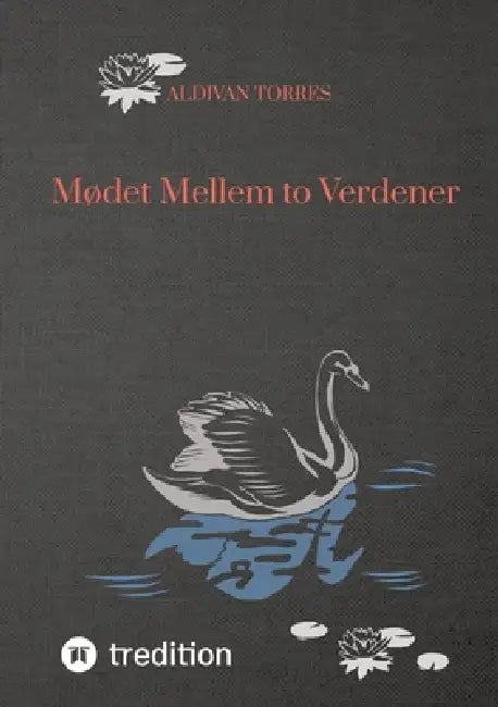 Mødet Mellem To Verdener by Aldivan Torres